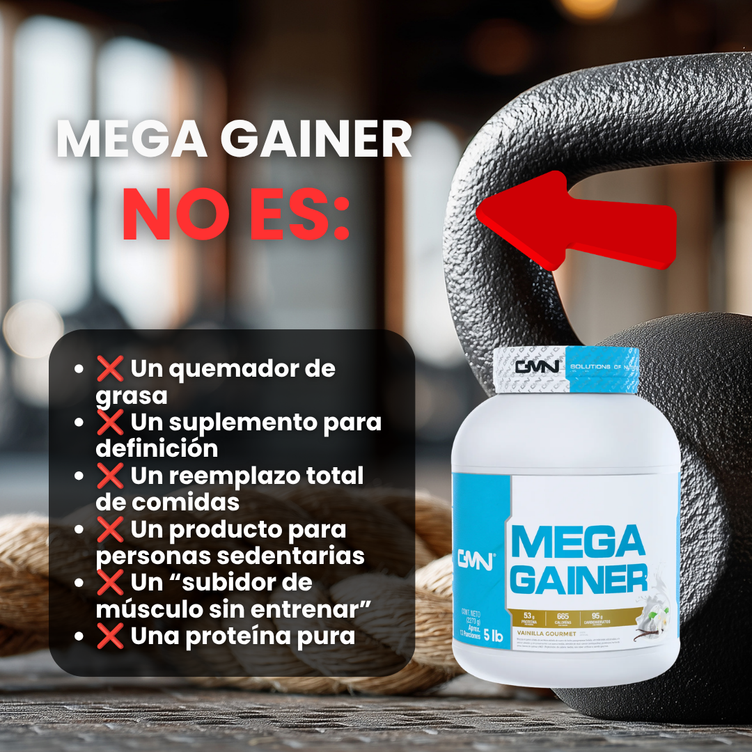 ProteinaMEGA GAINER 5LB GMN