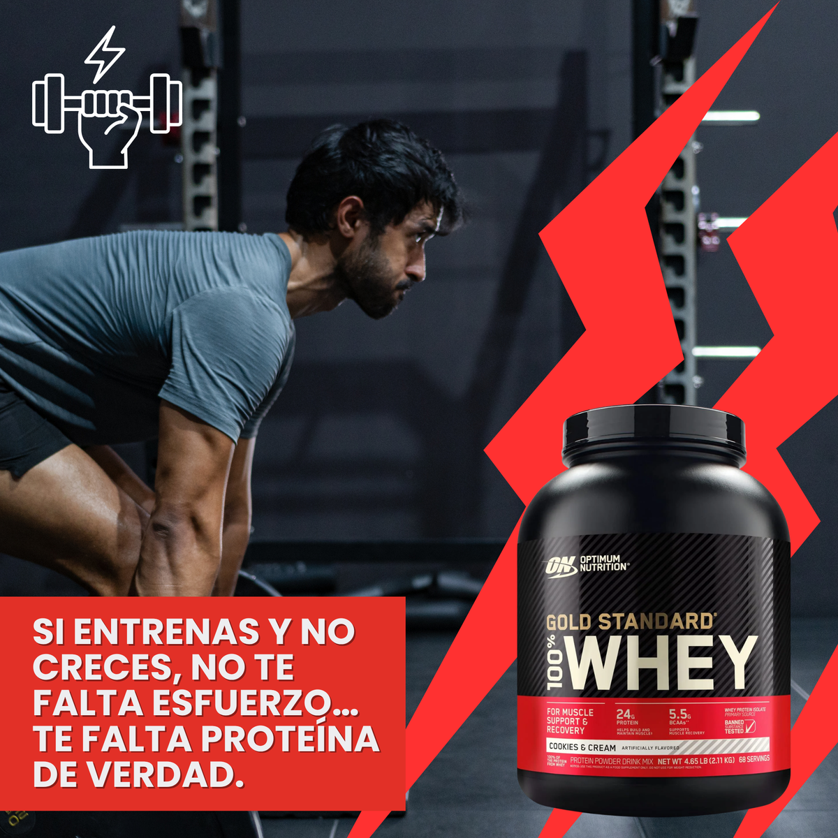 Ganador Muscular 100% WHEY 5Lbs