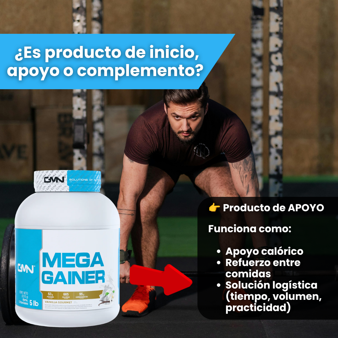 ProteinaMEGA GAINER 5LB GMN