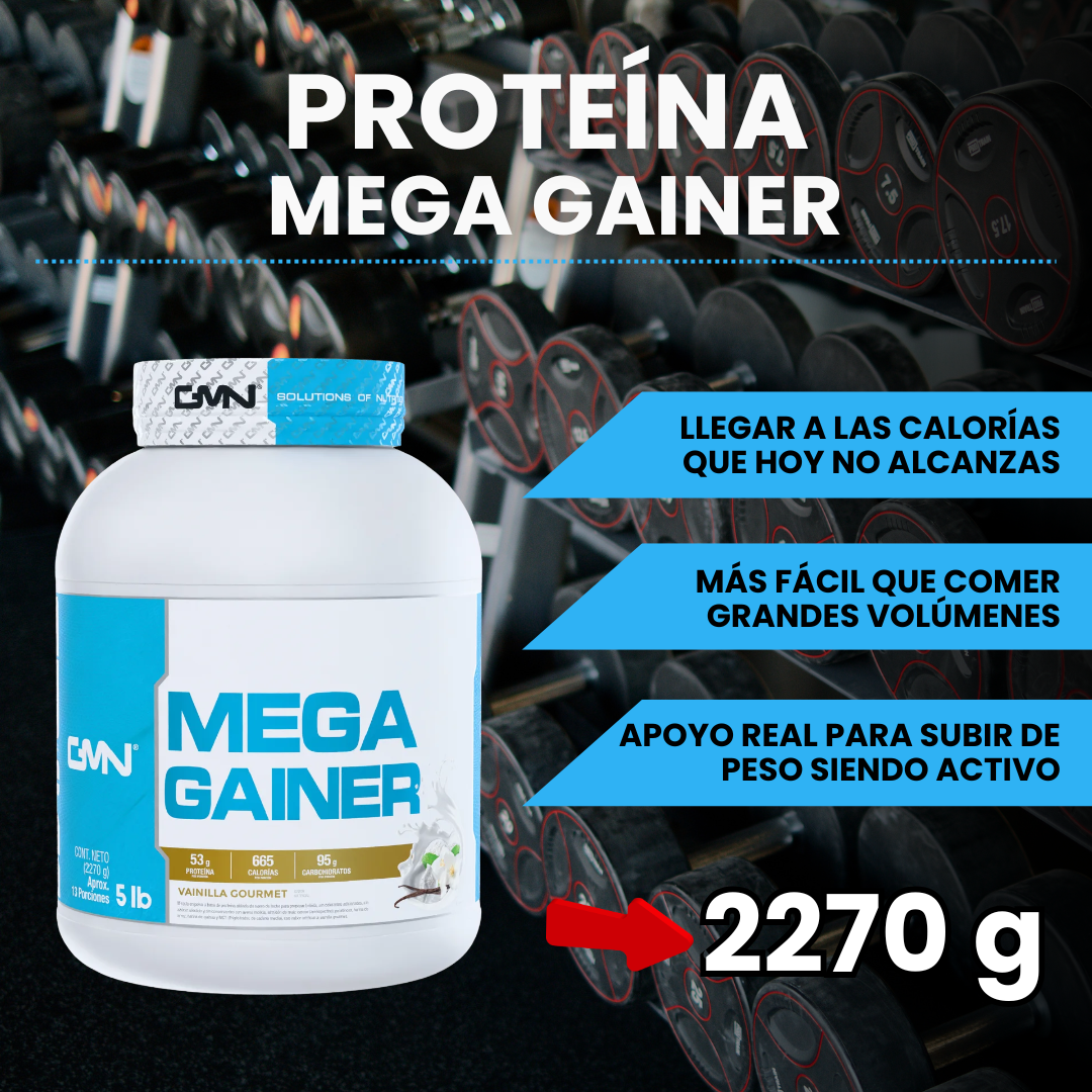 ProteinaMEGA GAINER 5LB GMN